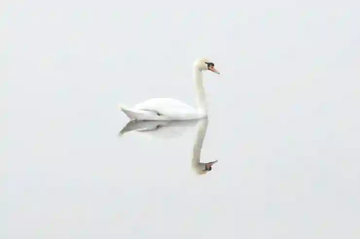 이미지가 X박스로? 한글·크롬·블로그에서 이미지 안 보이는 이유