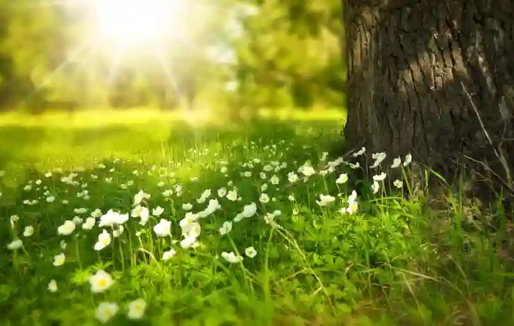 애플펜슬 연결 안됨 해결 방법(1세대, 2세대, 프로) 총정리