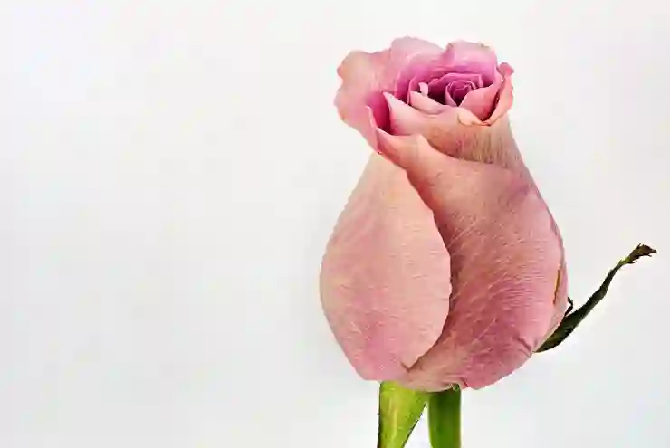 갤럭시 워치4 시계 화면 항상 켜짐 설정법 (AOD 기능 정리)