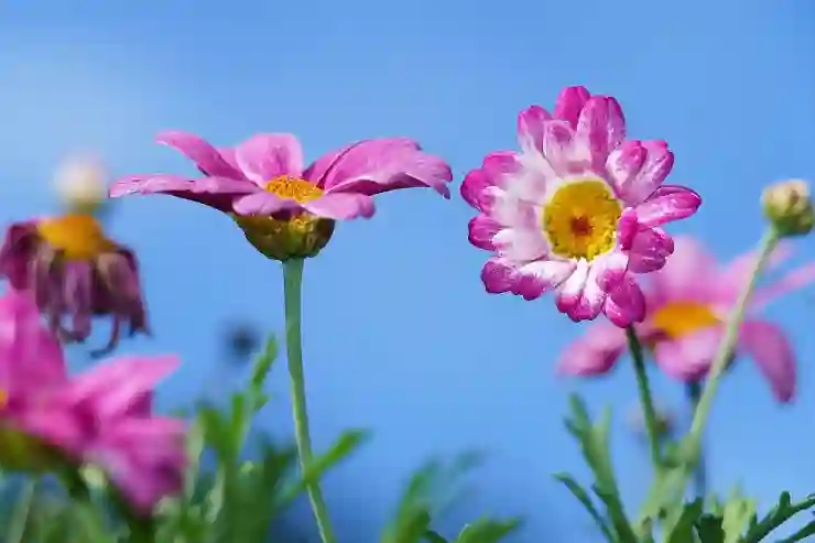 편의점 재고조회 완벽 가이드: CU, GS25, 이마트24, 세븐일레븐 앱 활용법 알아보기