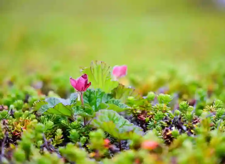 SRT 예매 정책 변화 총정리 및 위약금 대응 전략 알아보기