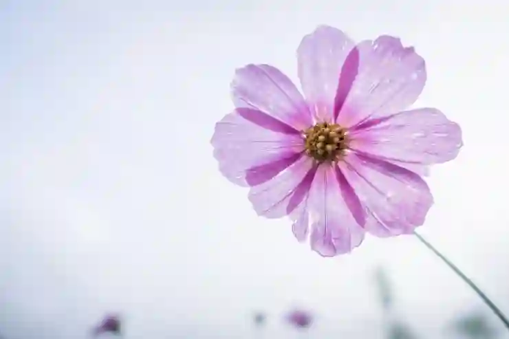 웨딩홀 투어, 완벽한 선택을 위한 체크리스트 알아보기