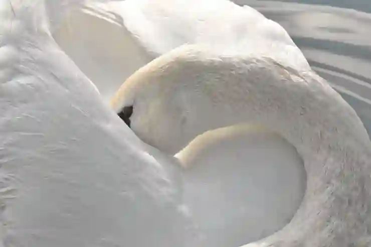 스마트폰으로 유튜브 쇼츠 올리는 법, 썸네일 이미지 수정 변경 방법