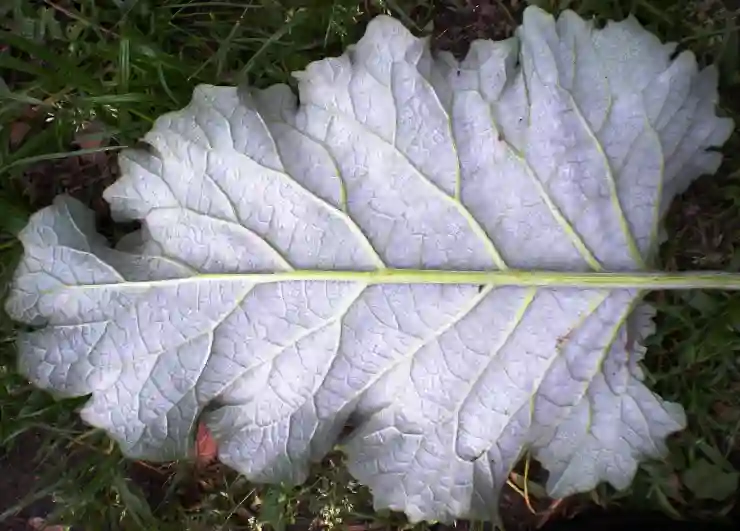 웨딩반지 누니주얼리 한남본점 프랙탈 fractal 계약 후기