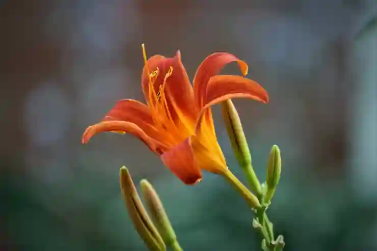 여름철 초파리 퇴치, 다이소 하수구용 트랩 후기 완벽 분석하기