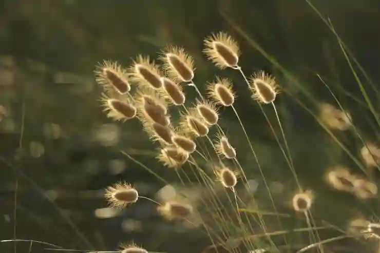 유튜브 검색기록 완벽하게 관리하는 법 알아보기