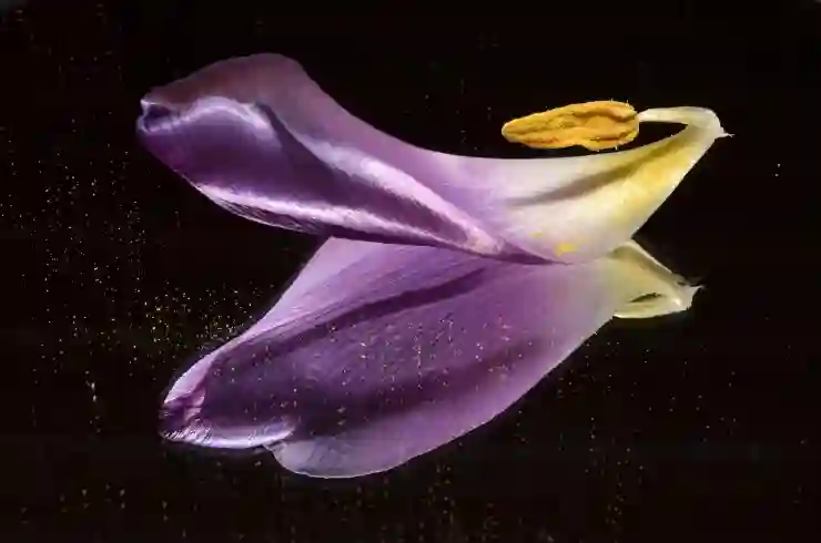 인스타 스토리 공유 오류 해결법과 꿀팁 알아보기