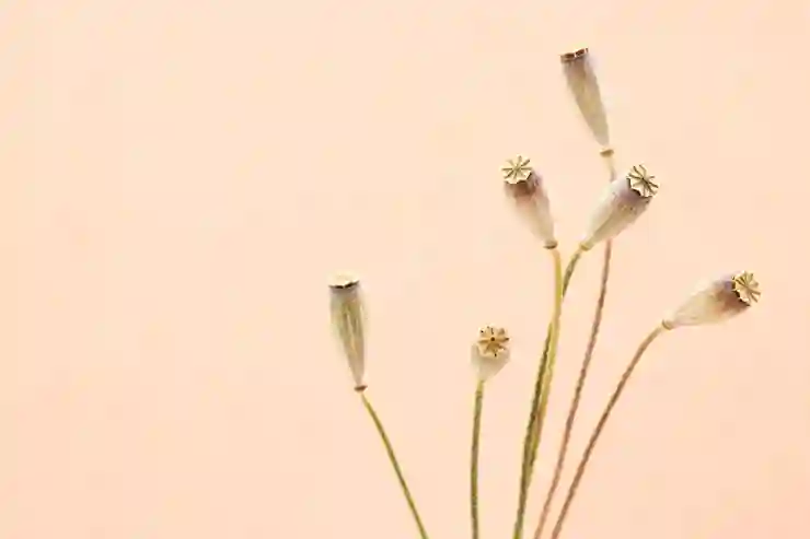아이폰 카톡 단톡방에서 몰래 나가는 스마트한 방법 탐구하기