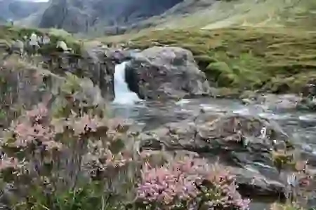 잠실 키친205에서 현장구매와 매장위치, 예약방법을 한눈에 알아보자!