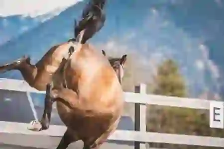 비상금대출 조건 연장 거절, 그 이유와 대처법 살펴보기