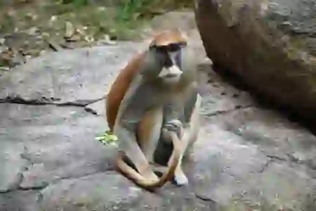 2024 노령연금, 수급자격과 신청방법 완벽 가이드!