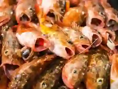 해남의 인생과 행복을 담은 울진 바위굴 성게 수산물 탐방기