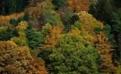 한컴오피스 2022 다운로드 무료설치