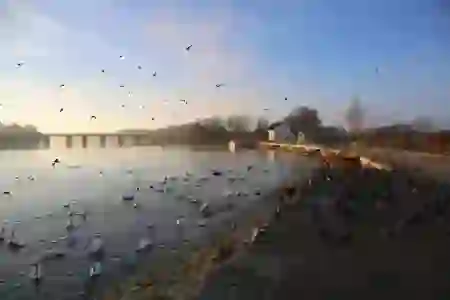 국민은행 보금자리론 주담대 DSR LTV 금리 한도 알아보기