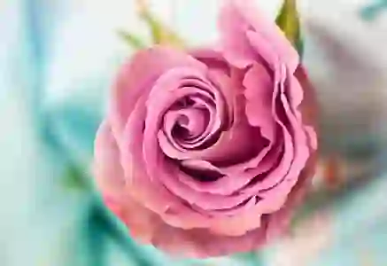 기업은행 마이너스통장 만들기 개설방법 (금리 4.7%)