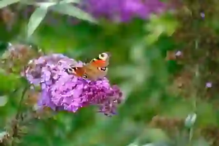 iOS 아이폰 스크린타임 제한 무시하는 방법 총정리