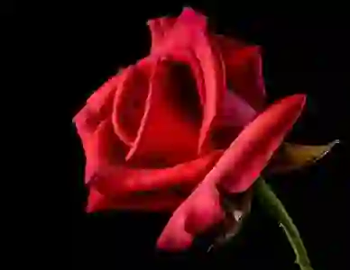 갑근세 원천징수확인서 쉽게 발급받는 법 알아보기