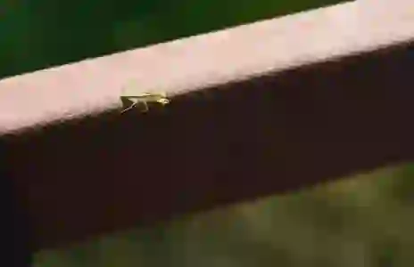 주민센터 토요일 활용법과 숨겨진 꿀팁 알아보기