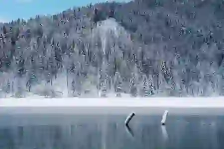 현역가왕2 투표 방법 완벽 가이드