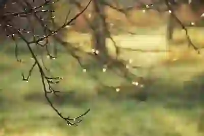 수습기간 4대보험 가입 적용 신고