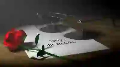 운전면허 증명사진 규격 사이즈 정확히 알아보기