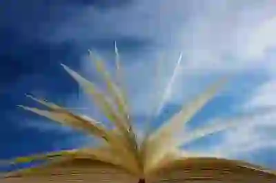 카카오톡 투표 만들기 방법 및 익명투표, 중복투표 기능 활용하기