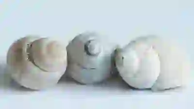 한글 견적서 양식 다운로드 무료로 받기