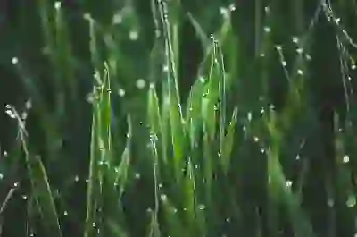 홈택스 월세 환급 1분만에 신청하는법