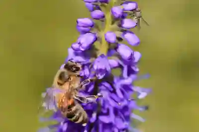 그랜드 호텔 미첼라시에서 즐기는 완벽한 숙박 경험 살펴보기