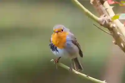 비트코인 선물거래를 시작하는 6단계와 필수 팁 알아보자
