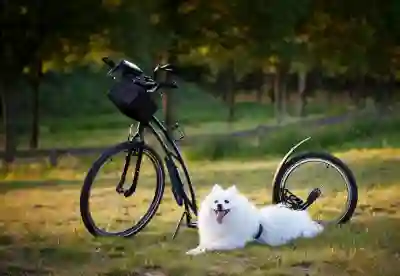 취업성공패키지 단계별로 살펴보자