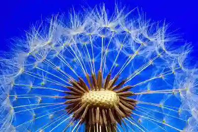 호바트에서 멜빙턴 부티크 아파트먼트 숙소 추천과 조식 정보 알아보자