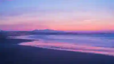 MBC 뉴스투데이 댓글 다시 보려면 알아보자