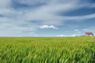 봄 인사말 아이디어 4가지 알아보자