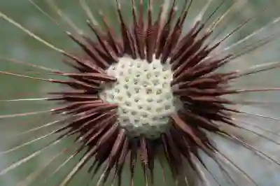 미납 처리 지원 성공 사례 분석으로 알아보는 효과적인 전략