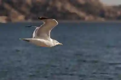대만 여행자 보험 비교 및 추천 알아보기