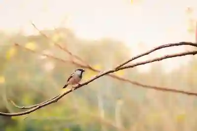 대출 자격 조건 변화에 따른 대처 방법 살펴보기