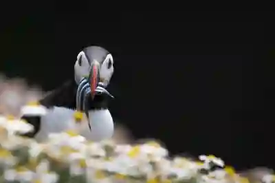 대선 개표 방송 시간을 MBC KBS SBS에서 알아보자