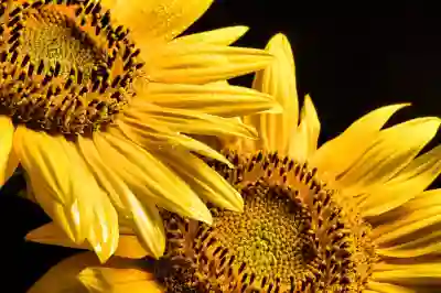 고용보험 자격요건 알아보자