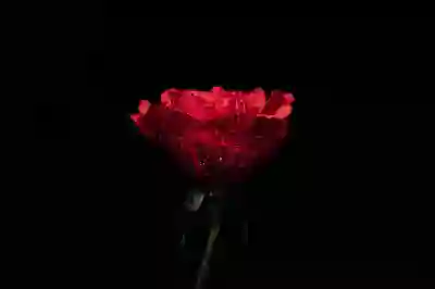 장애인 차별을 없애는 4가지 방법 알아보기