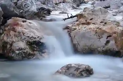 조희대 대법원장 탄핵 로그기록 공개의 의미 살펴보기