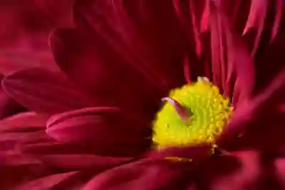 지브리 패션으로 여행하는 4가지 방법