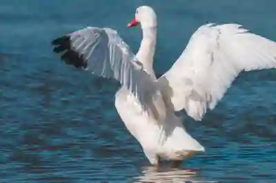 소상공인 부채 해결을 위한 특별채무조정패키지 알아보자