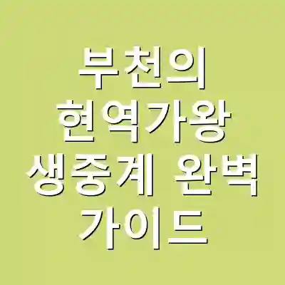 부천의 현역가왕 생중계 완벽 가이드